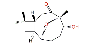 Rumphellolide I